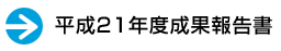 平成22年度成果報告書